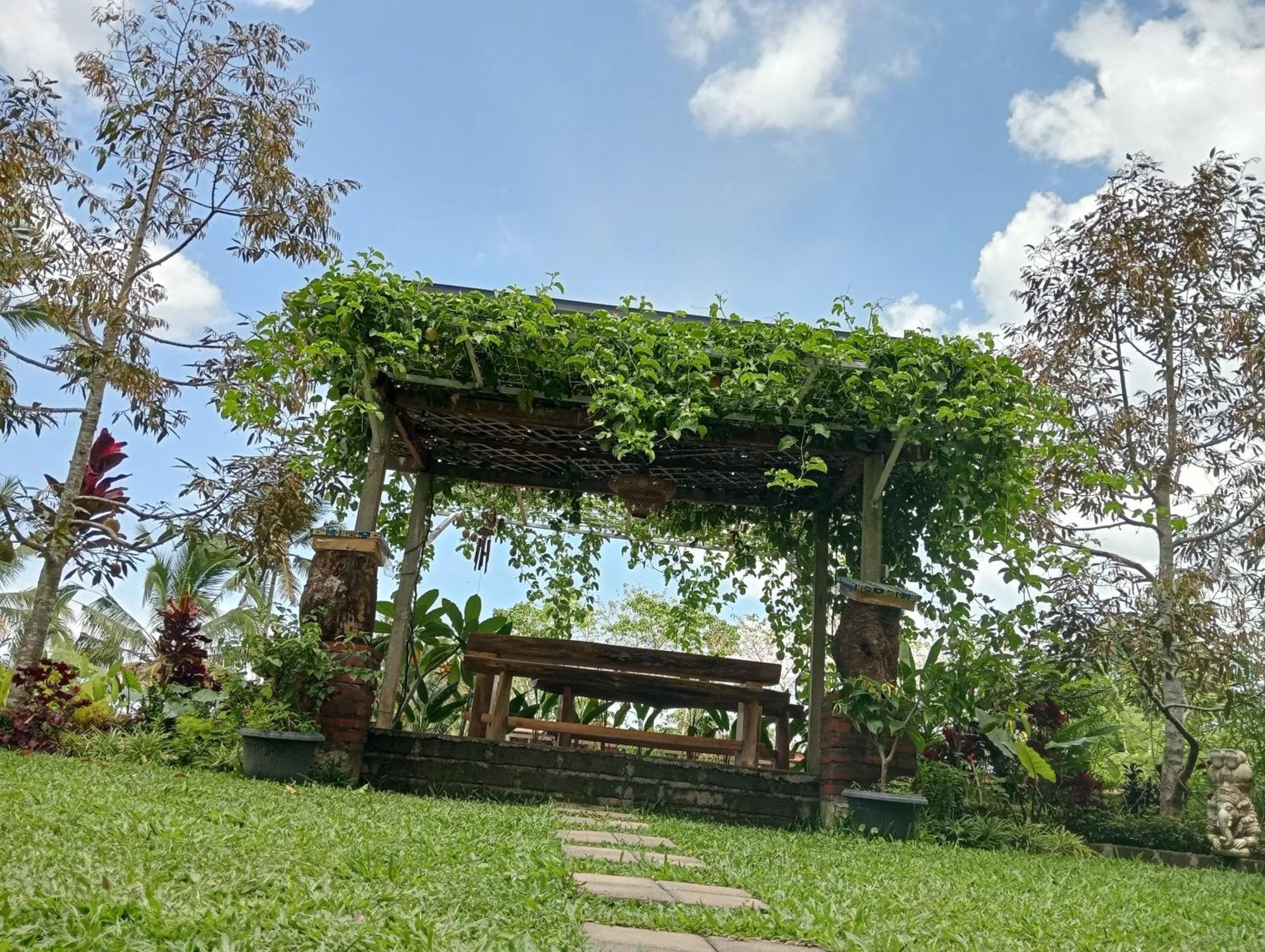 Sekumpul Bali Hidden Space 싱가라자 외부 사진
